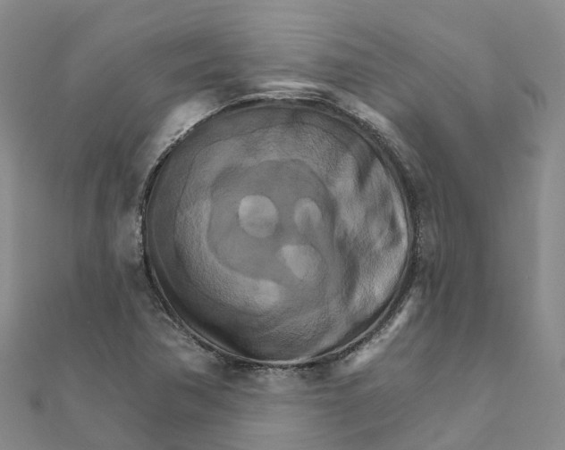 X0000111511362200908111259
