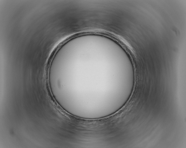 X0000111511364200908111259