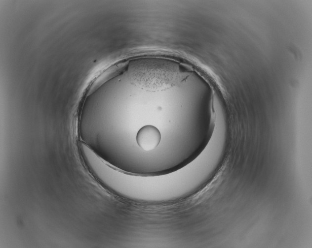 X0000111511365200908111259