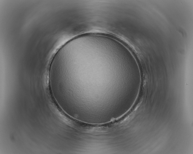 X0000111511367200908111259