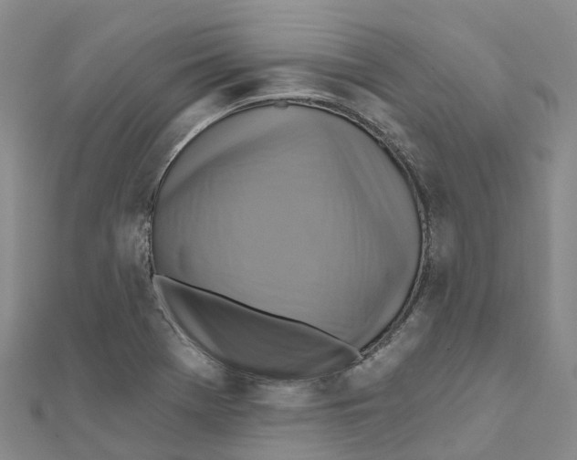 X0000111511369200908111259