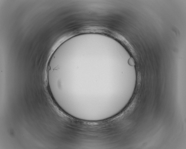 X0000111511370200908111259