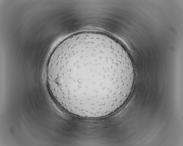 X0000111511371200908111259