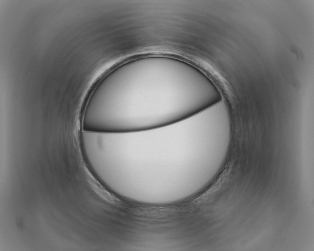 X0000111511372200908111259