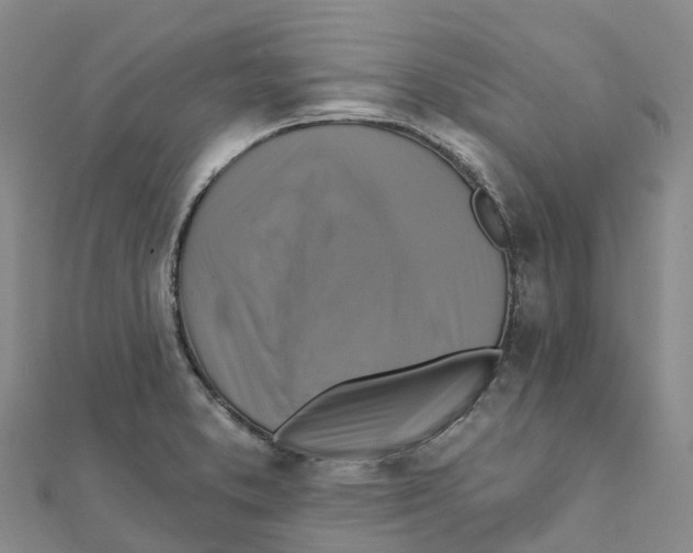 X0000111511373200908111259