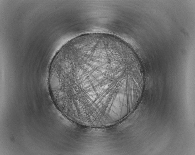 X0000111511374200908111259