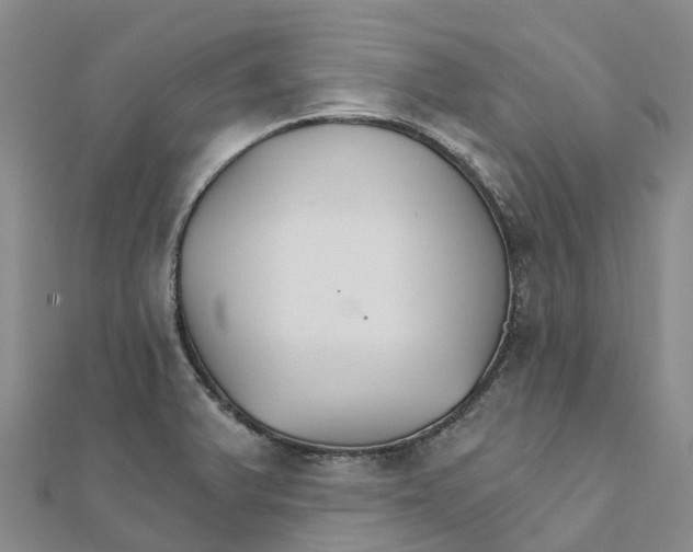 X0000111511375200908111259