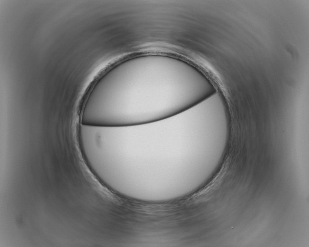 X0000111511376200908111259