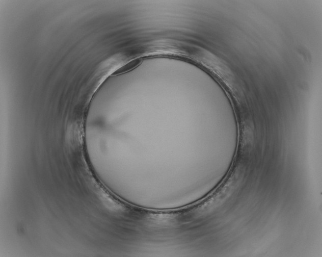 X0000111511377200908111259