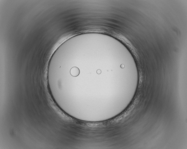 X0000111511378200908111259