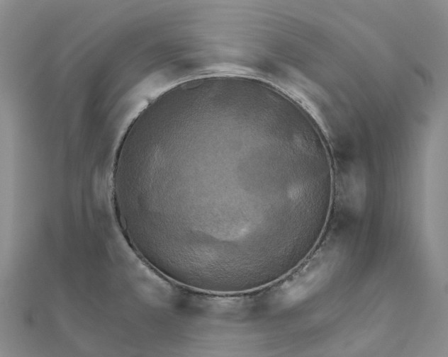 X0000111511381200908111259