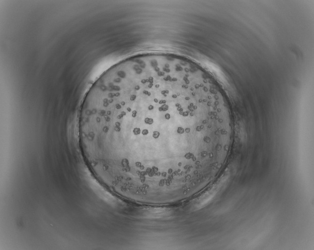 X0000111511382200908111259