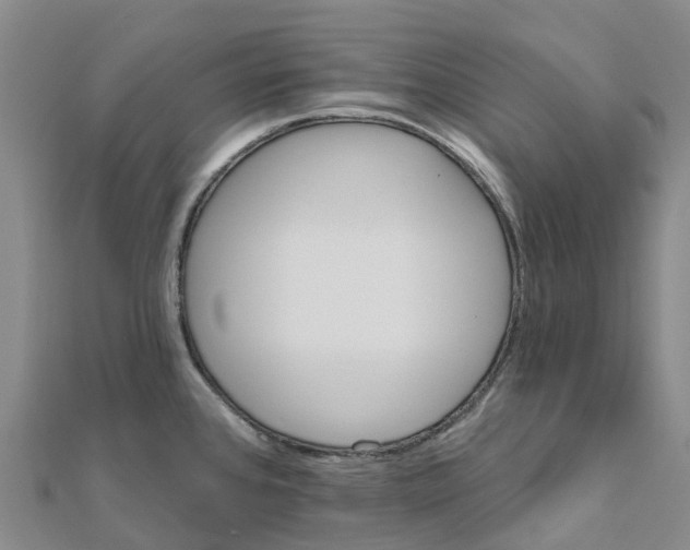 X0000111511384200908111259