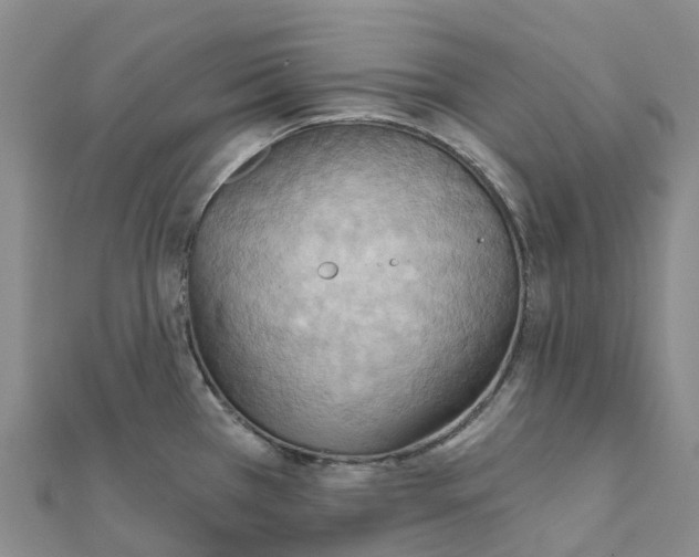 X0000111511385200908111259