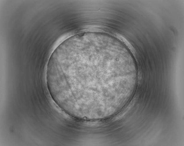 X0000111511386200908111259