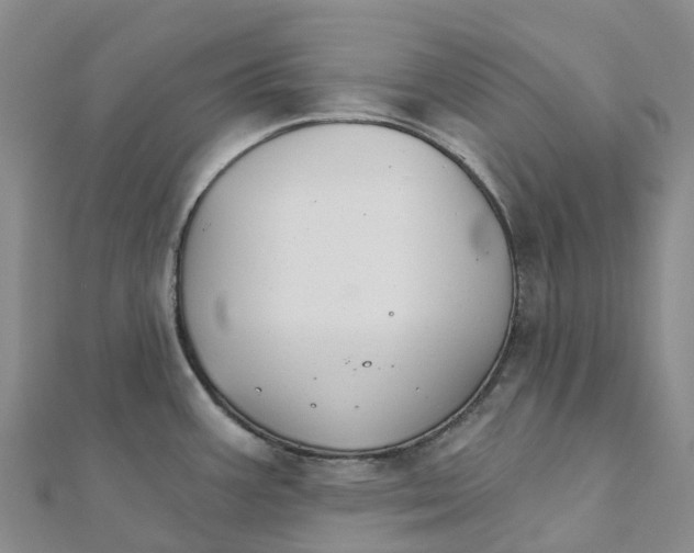 X0000111511387200908111259