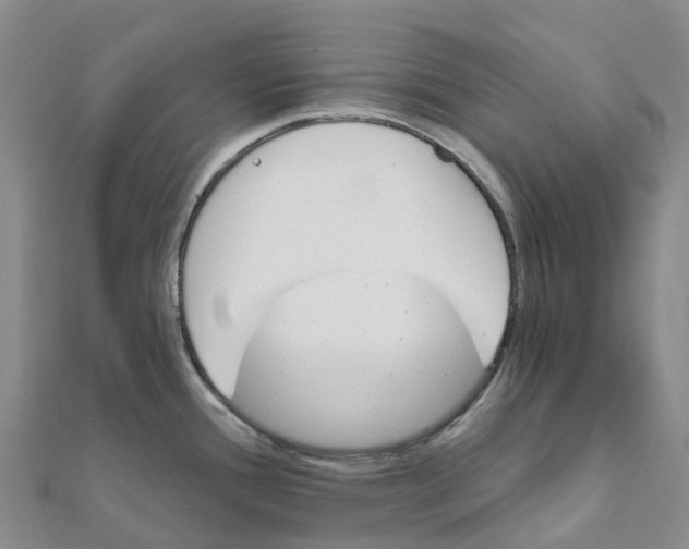 X0000111511388200908111259