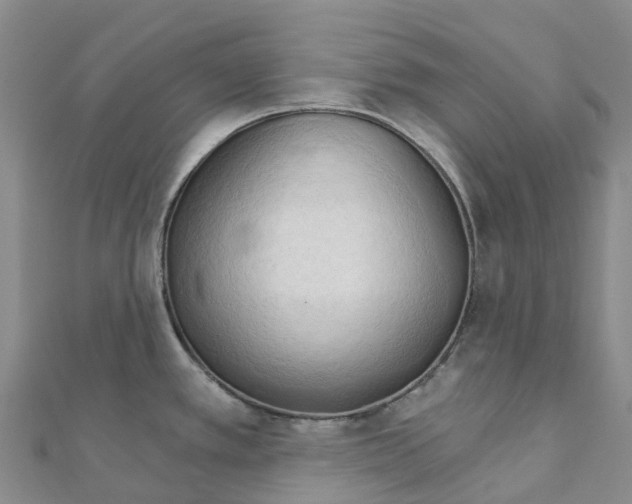 X0000111511389200908111259