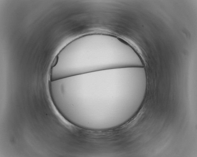 X0000111511391200908111259