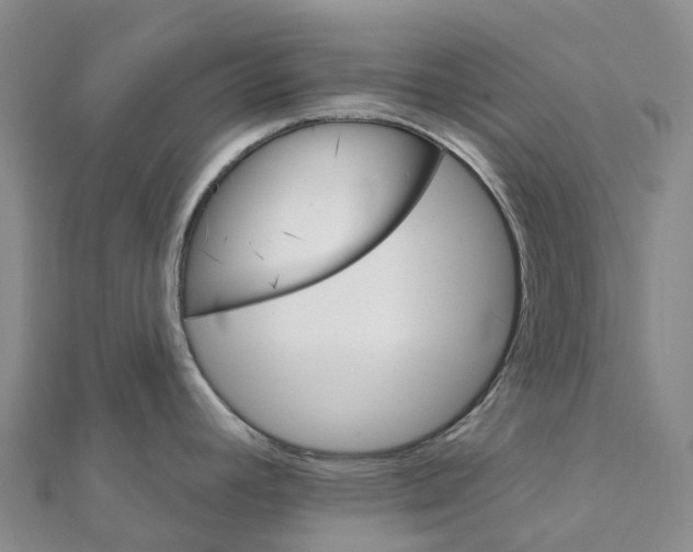 X0000111511392200908111259