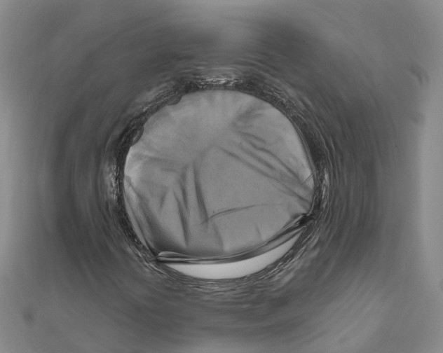 X0000111511394200908111258