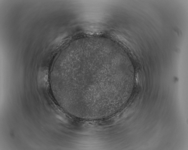 X0000111511396200908111258