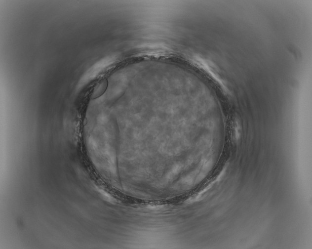 X0000111511399200908111259