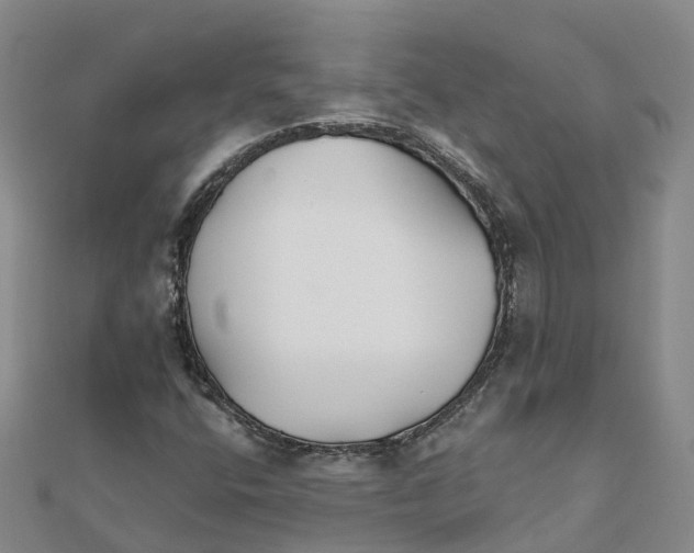 X0000111511400200908111259