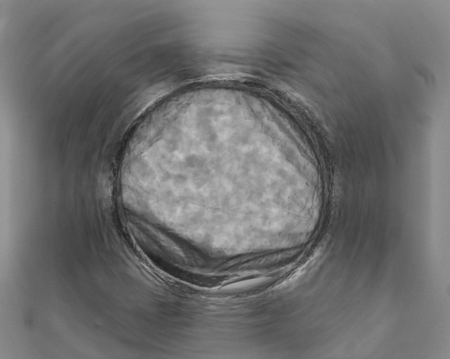 X0000111511401200908111259