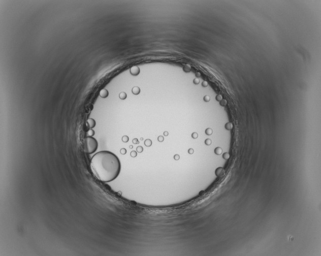 X0000111511402200908111259