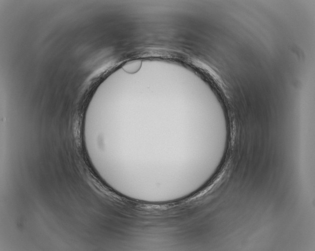 X0000111511403200908111259