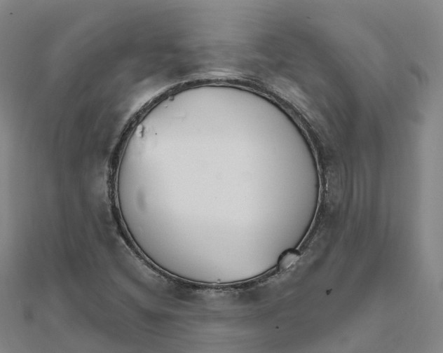 X0000111511404200908111259
