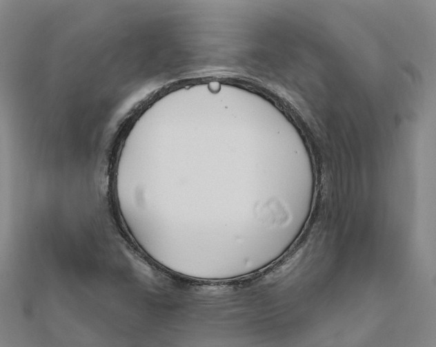 X0000111511406200908111259