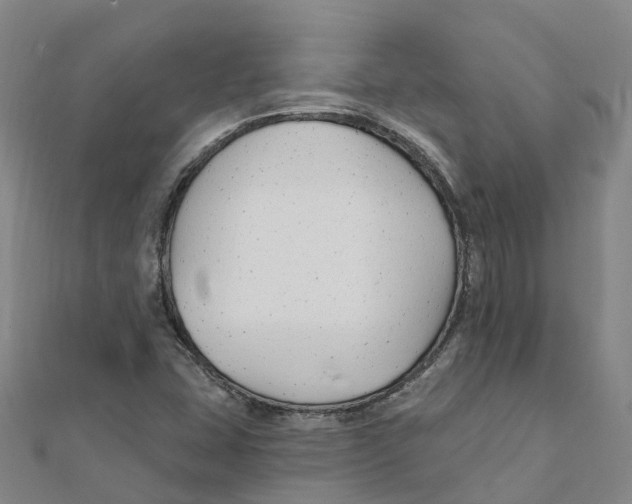 X0000111511407200908111259