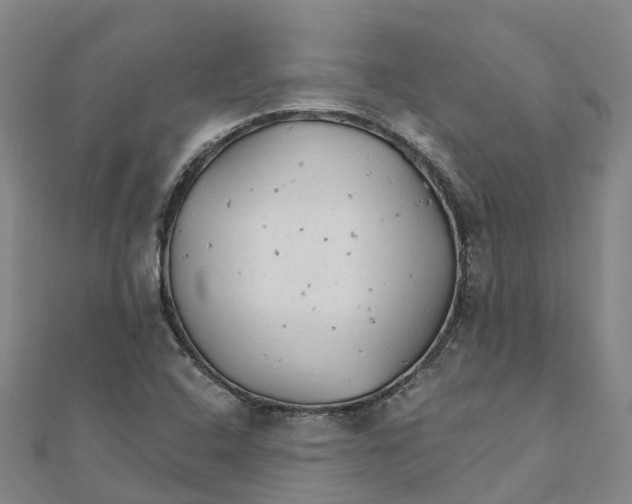 X0000111511408200908111259