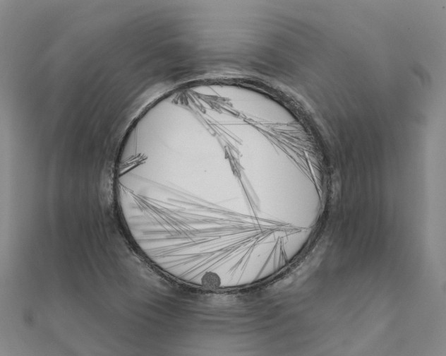 X0000111511409200908111259
