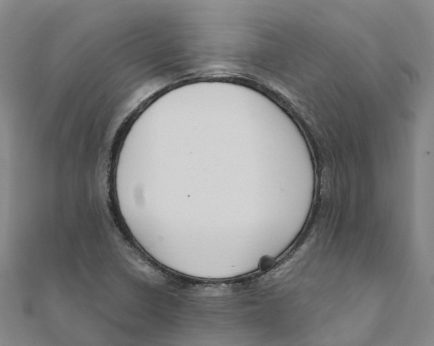 X0000111511410200908111259
