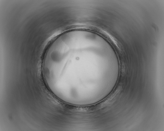 X0000111511411200908111259