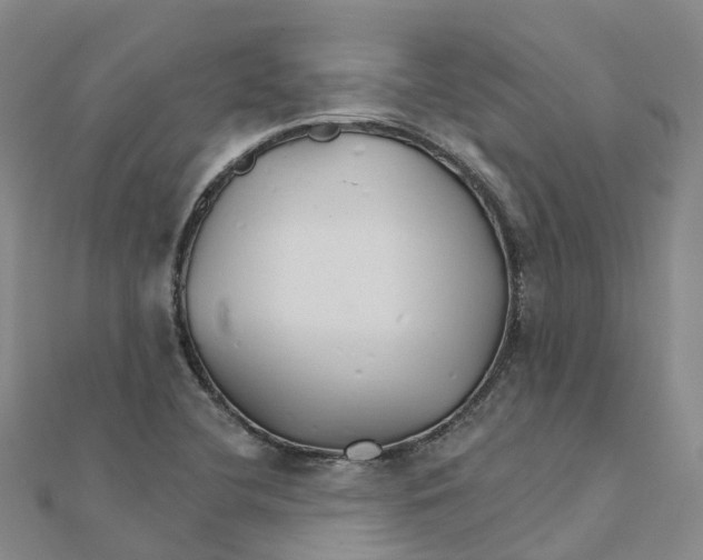 X0000111511412200908111259