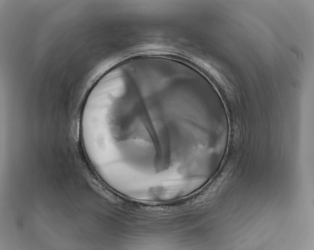 X0000111511413200908111259