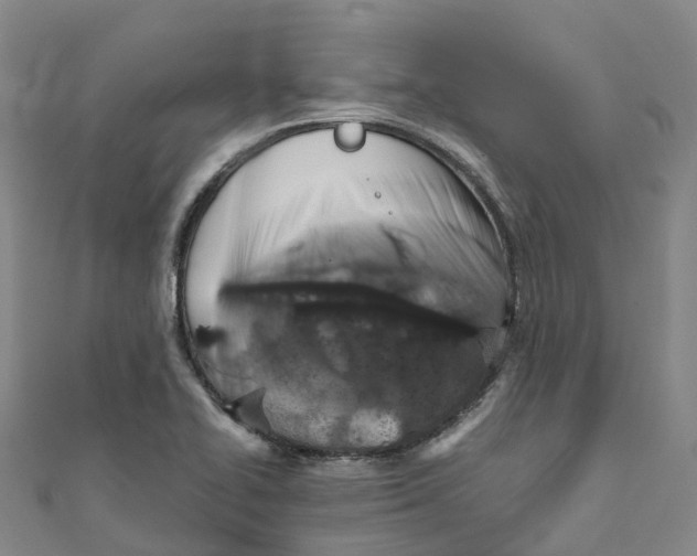 X0000111511414200908111259