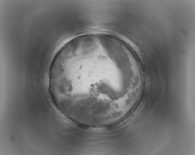 X0000111511415200908111259