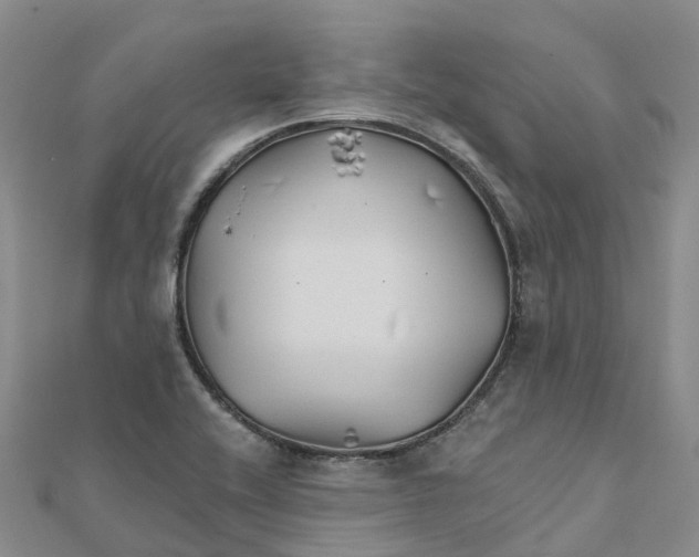 X0000111511416200908111259