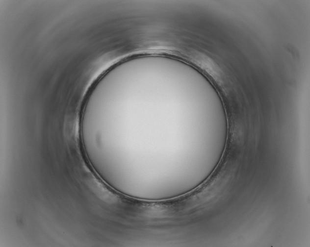 X0000111511420200908111259