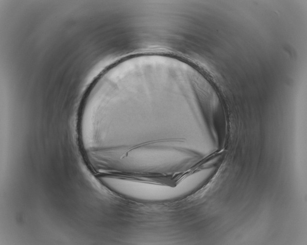 X0000111511422200908111259