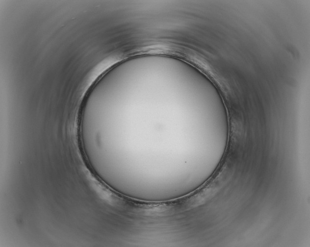 X0000111511426200908111259