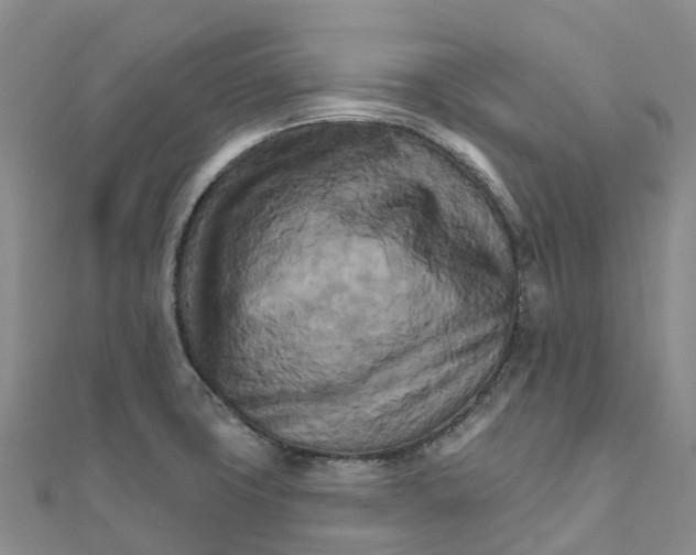 X0000111511427200908111259