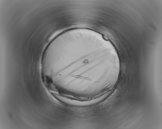 X0000111511428200908111259