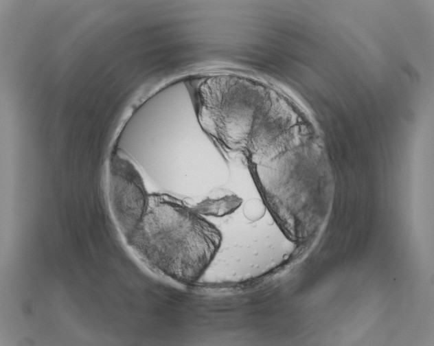X0000111511429200908111259