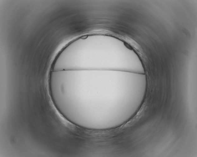 X0000111511430200908111259